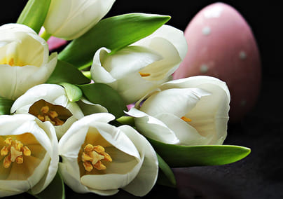 Interflora er en Agrol rabattavtale