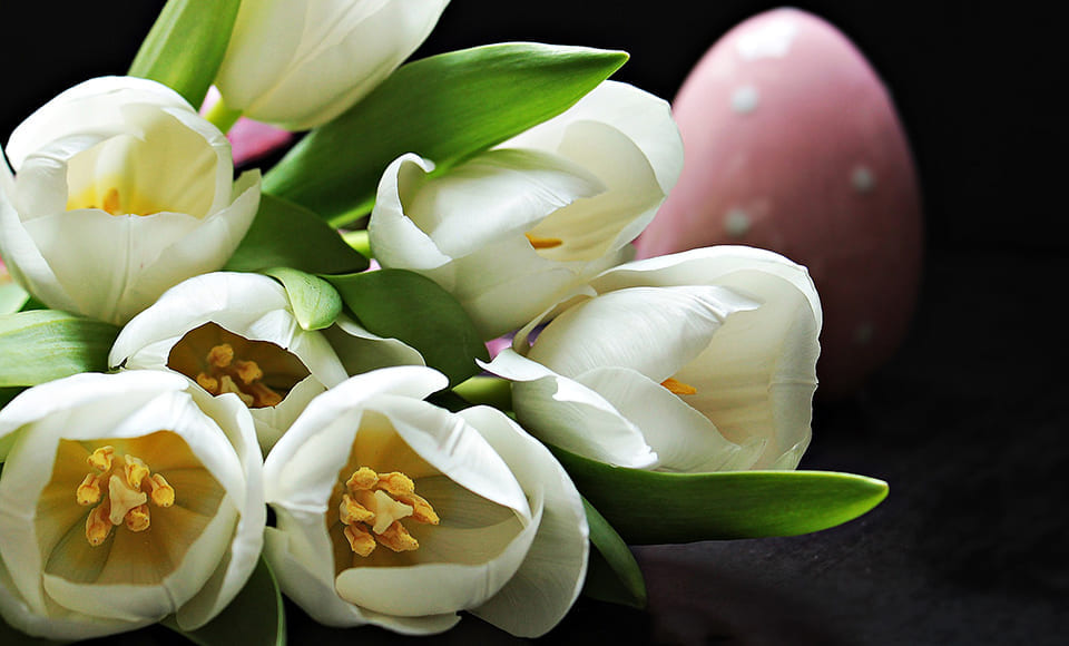 Interflora er en Agrol rabattavtale