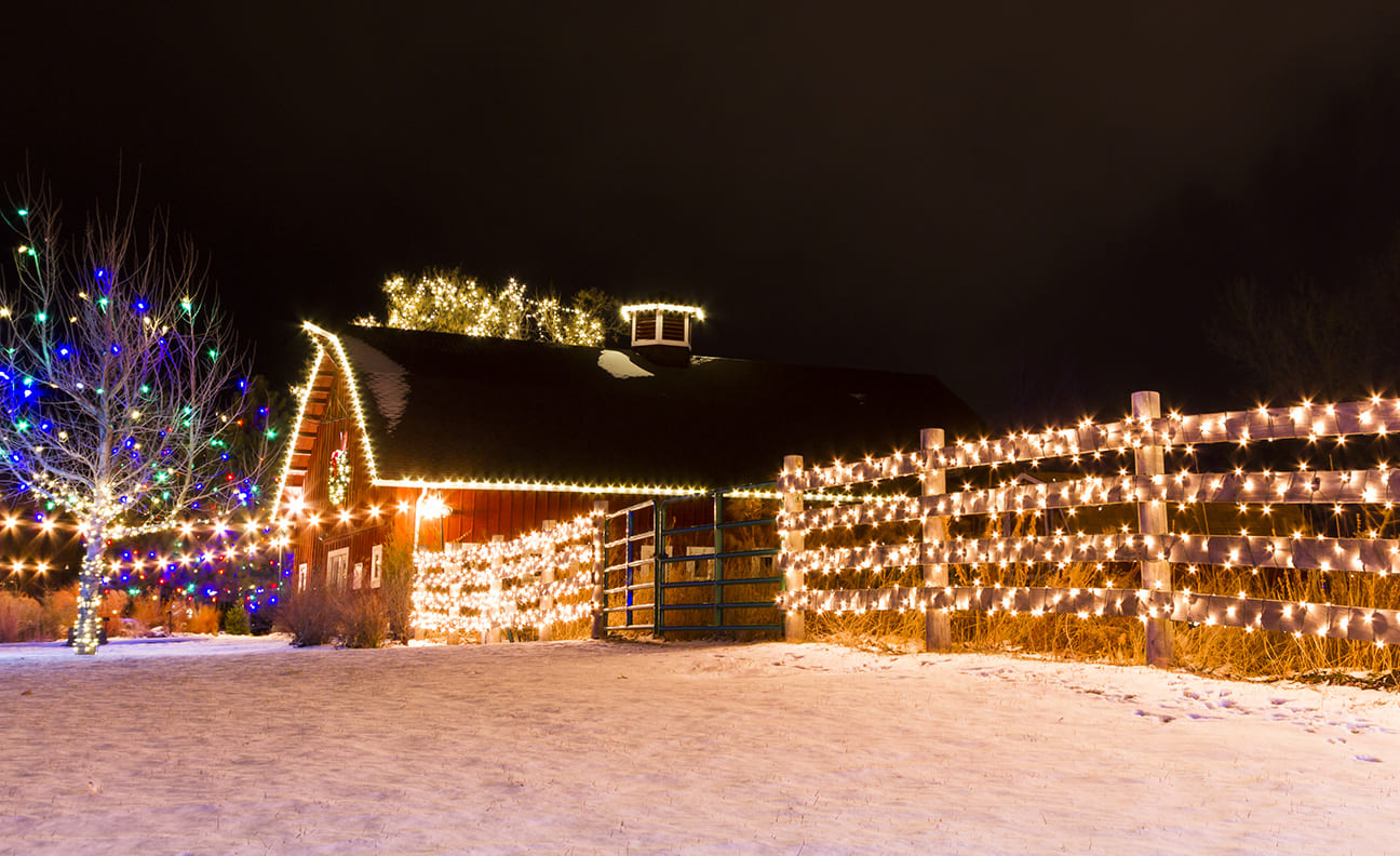 Hva koster egentlig strømmen til julelysene?