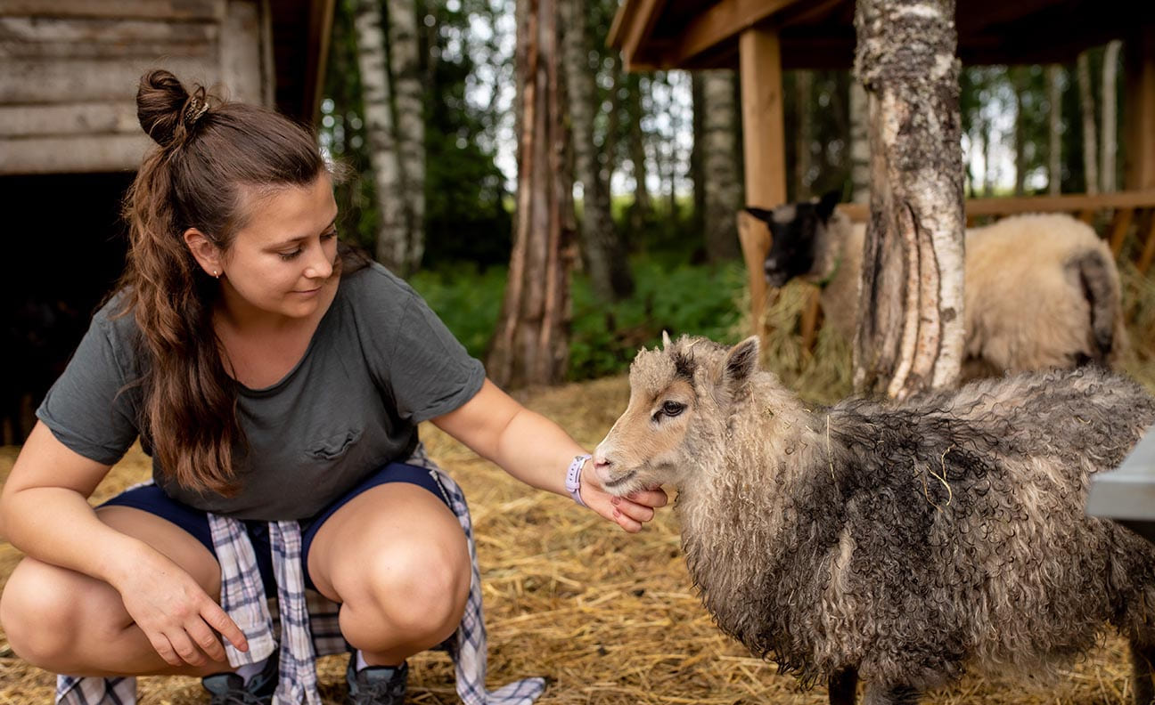 Solceller på taket dekker halvparten av energibehovet på gården