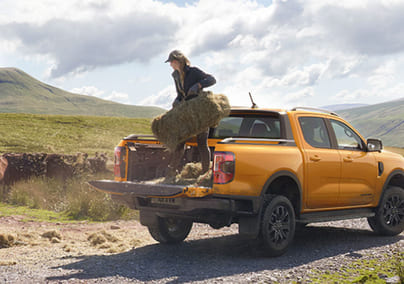 Agrol-rabatt på Ford