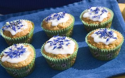 Havremuffins med kornblomster