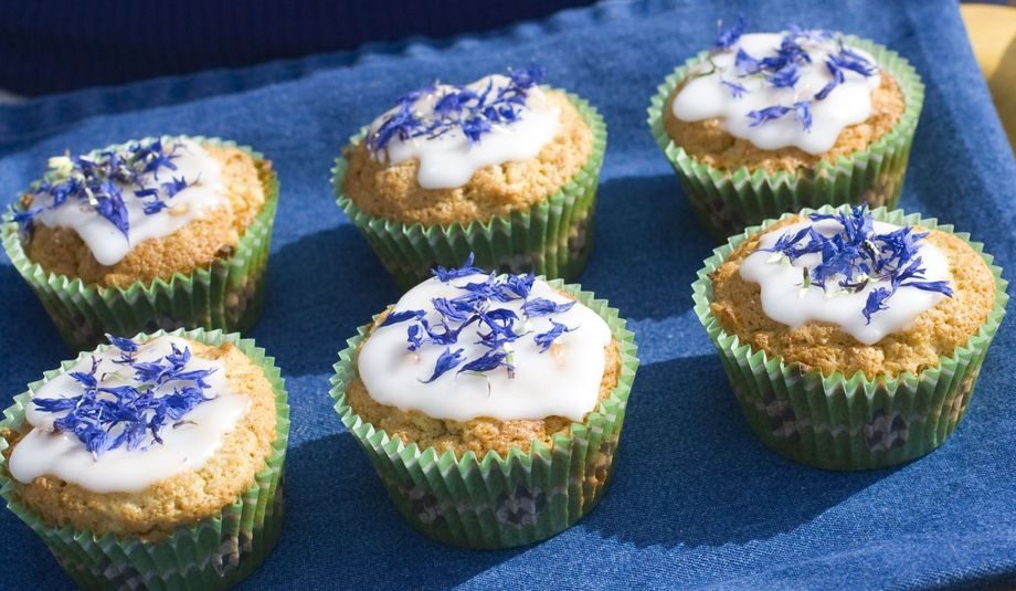 Havremuffins med kornblomster
