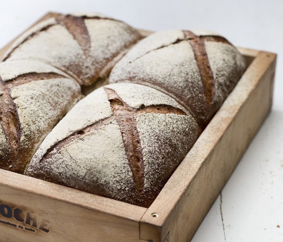 Matpakkebrød - grovt byggbrød