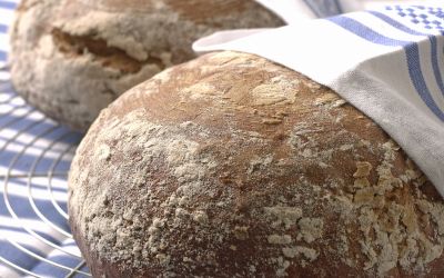 Byggbrød