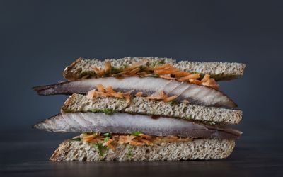 Dobbel makrellblings