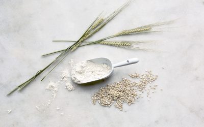 bygg i alle sine ulike former