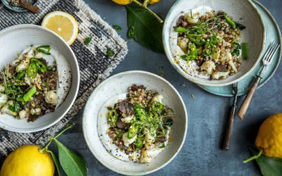 Reinsdyrskav og byggryn til middag