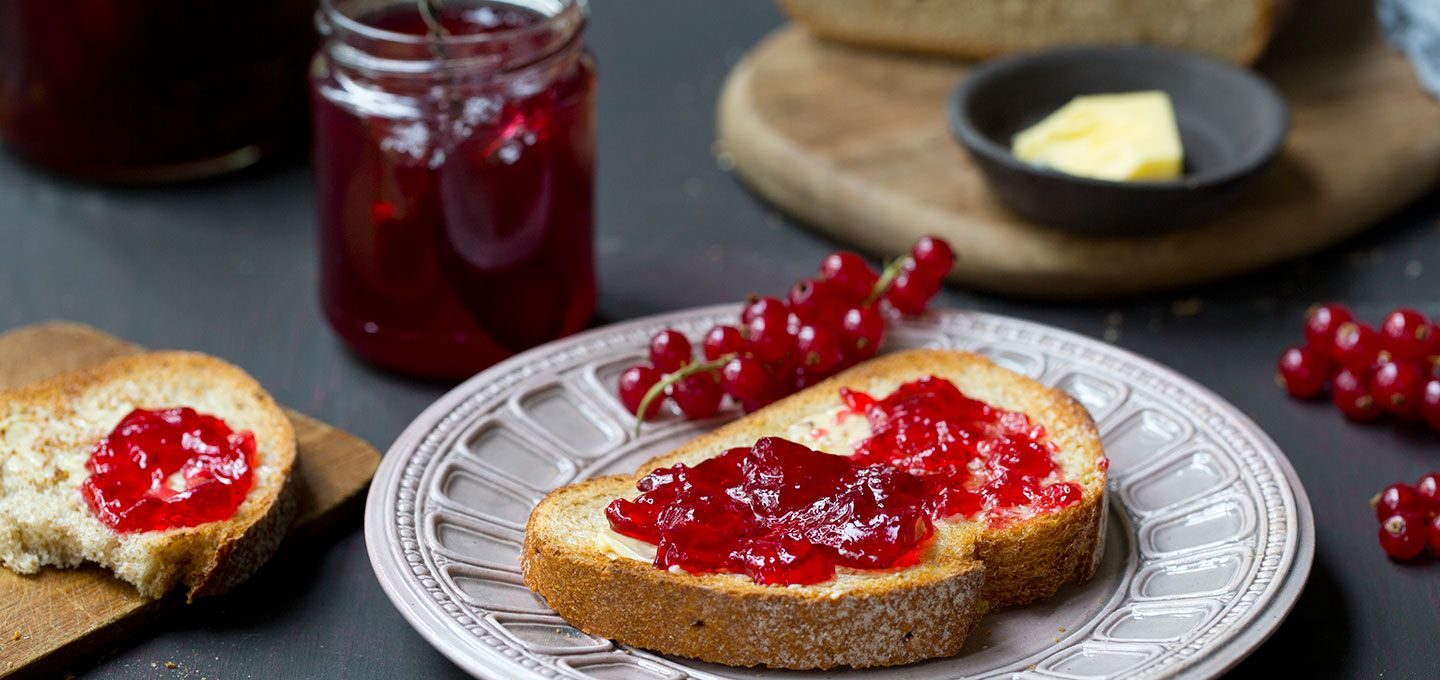 Brødskive med ripsgelé 