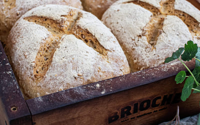 Havrebrød i langpanne