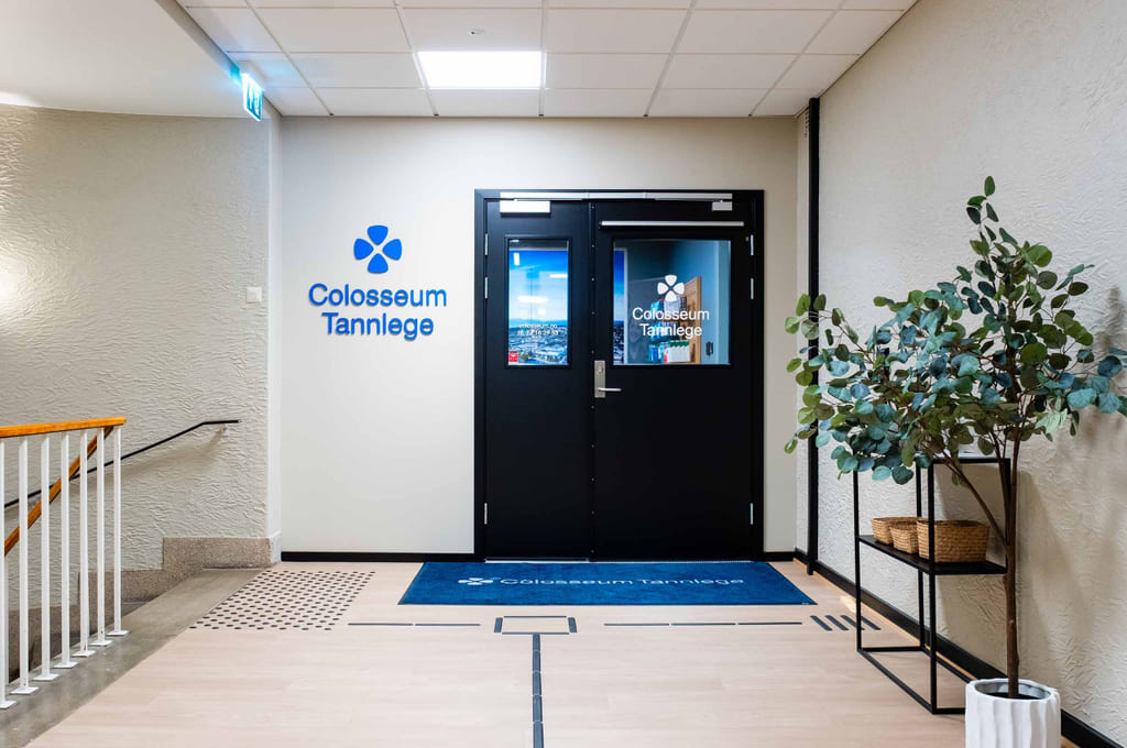 Steinkjer inngangsdør