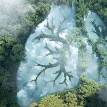 Healthy Planet 2026 Skog med illustrerte lunger