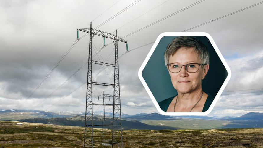 Berit Tennbakk fra THEMA