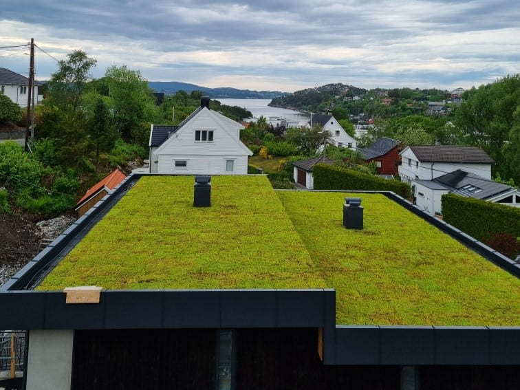 Grønt tak med vegetasjon og mørke takkanter, med flere hus og landskap i bakgrunnen.