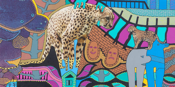 En fargerik collage hvor du blant annet ser en leopard og en gepard.