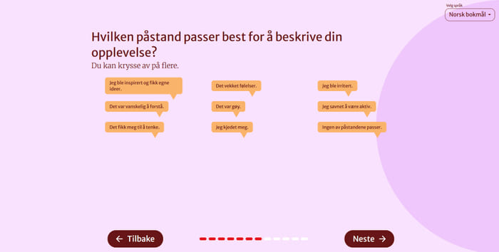Skjermbilde fra tilbakemeldingsskjema.