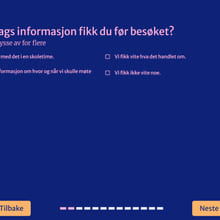 Skjermbilde fra tilbakemeldingsskjema.