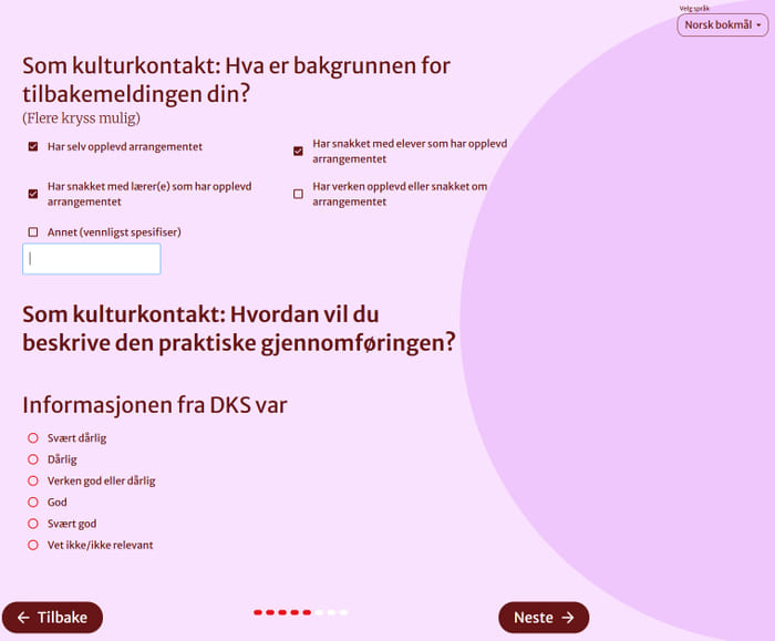 Skjermbilde fra tilbakemeldingsskjema.