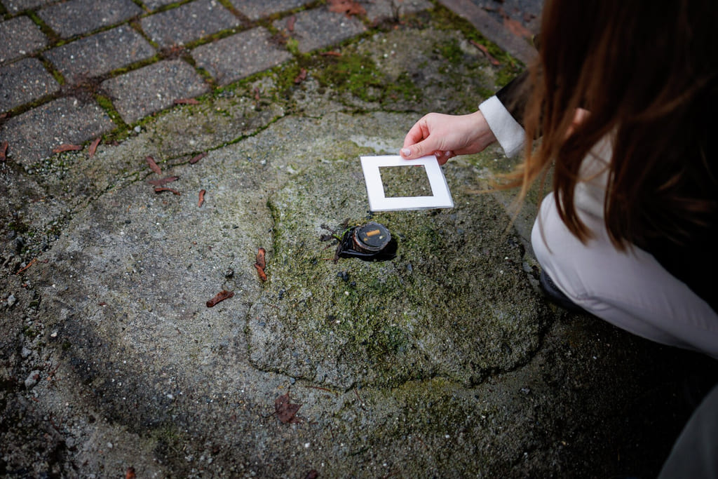 Kvinnens hånd holder smarttelefon over et sprukket betongfortau, som viser en blank hvit skjerm mot et grått fortau.