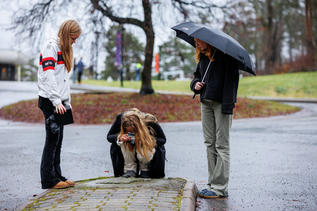 Tre unge kvinner i en park på en regnværsdag: én satt på huk og undersøkte noe, andre sto i nærheten, én holdt en paraply.