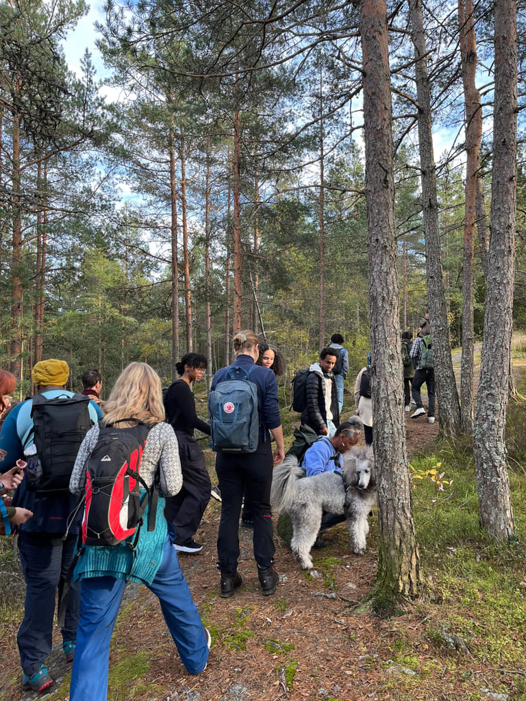 Gruppe mennesker går sammen på sti i skog med ryggsekker.