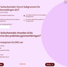 8ca56dc0-7.-kulturkontakt-1-tilbakemelding-i-dks-skjema-for-skole