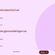 ce6d8982-8.-kulturkontakt-2-tilbakemelding-i-dks-skjema-for-skole