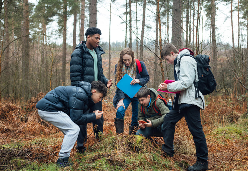 En gruppe elever og en lærer er i skogen og ser på noe på bakken. Bilde.
