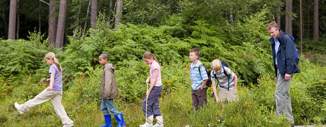 Fem elever og en lærer går på tur i skogen. Bilde.