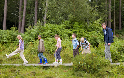 Fem elever og en lærer går på tur i skogen. Bilde.