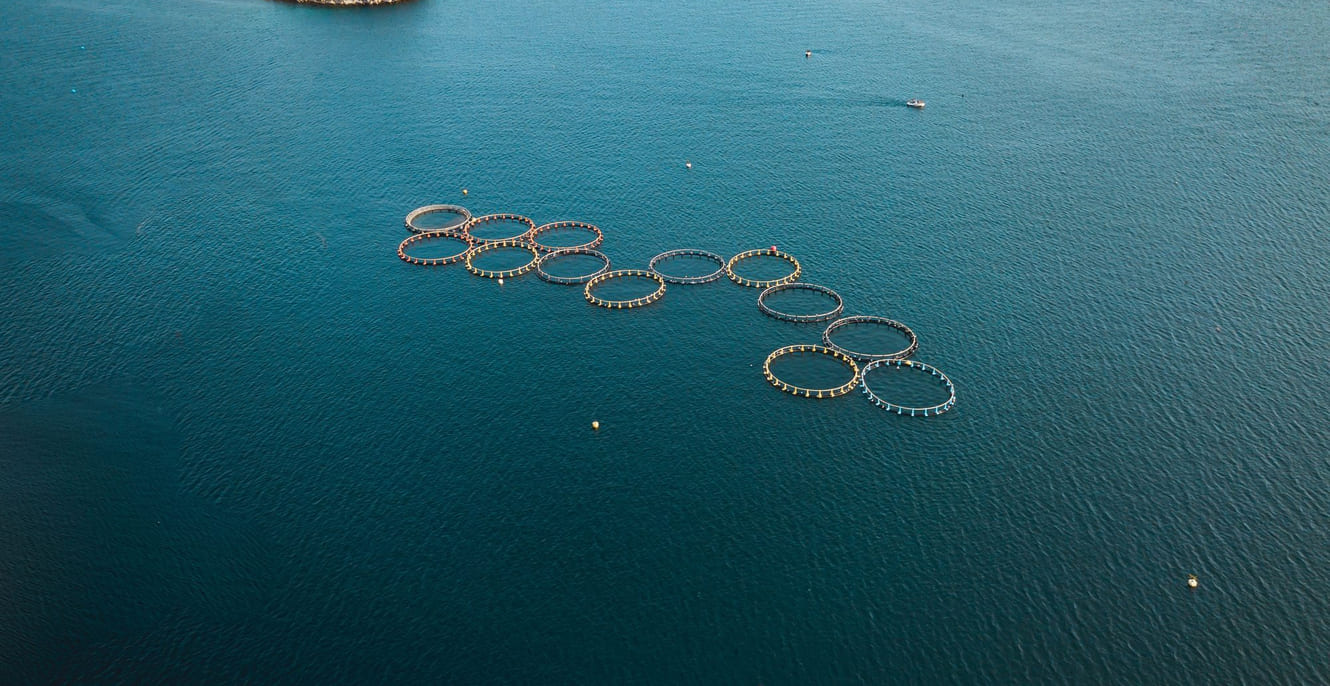 Luftfoto over et stort oppdrettsanlegg med mange fiskeinnhegninger midt i havet.
