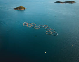 Luftfoto over et stort oppdrettsanlegg med mange fiskeinnhegninger midt i havet.