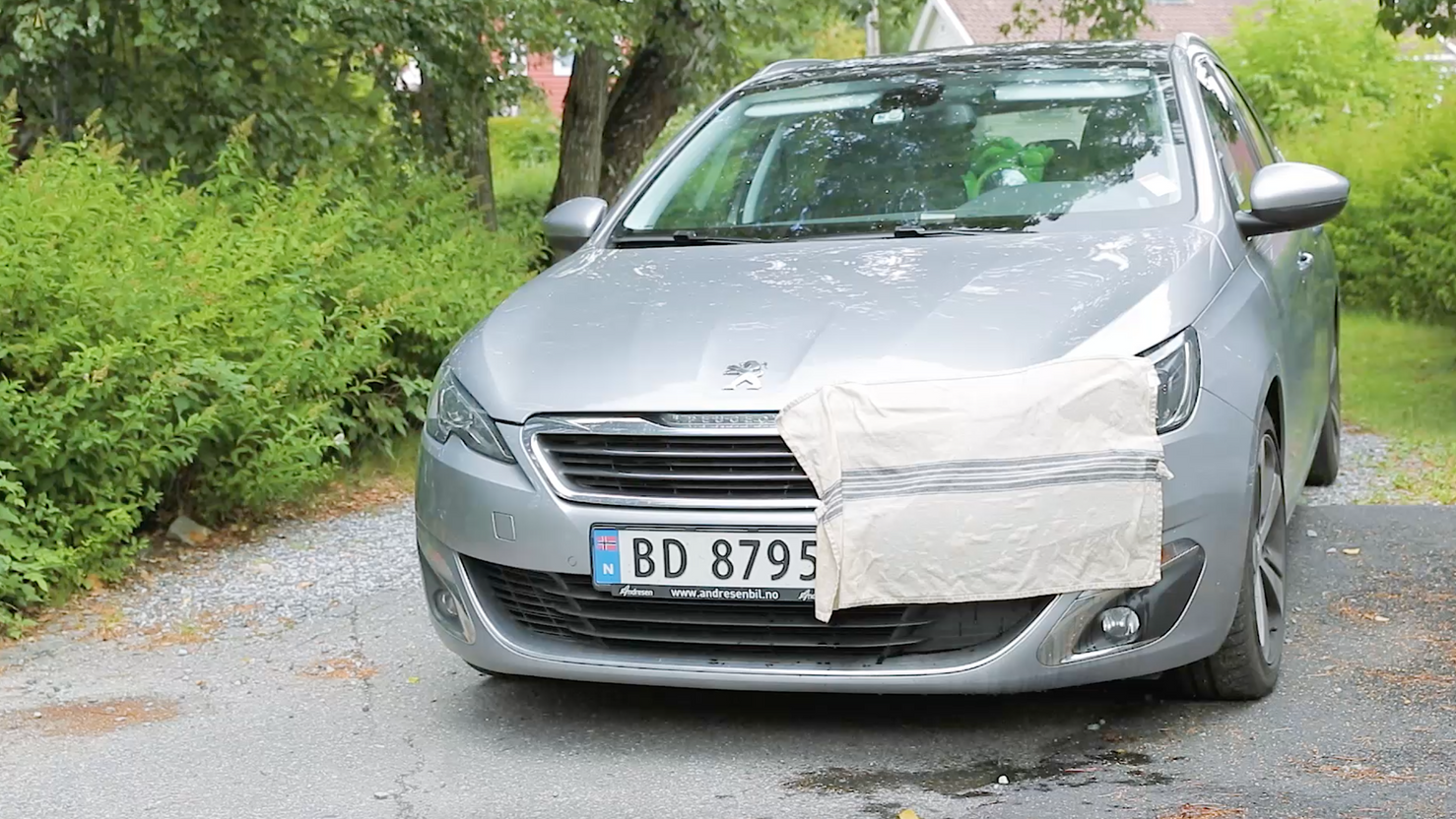 Slik gjør du det: Fjerne insekter