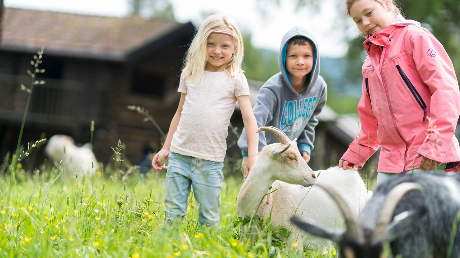 Barn som klapper en geit på en bondegård