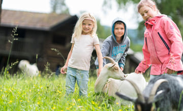 Barn som klapper en geit på en bondegård
