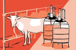 Illustrasjon som viser en ku på bås og to bioreaktorer