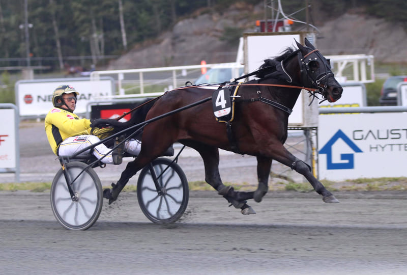 Thankful flyttet til Trond Smedshammer TGN